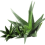 cosmetics-aloe-layer-2.png cosmetics-aloe-layer-2.png